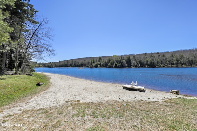 171 Lake Shore Dr, Otis, MA 01253 - water view with a heavily wooded area