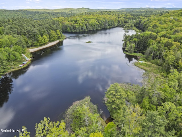 171 Lake Shore Dr, Otis, MA 01253 - drone / aerial view of a heavily wooded area and a nearby body of water