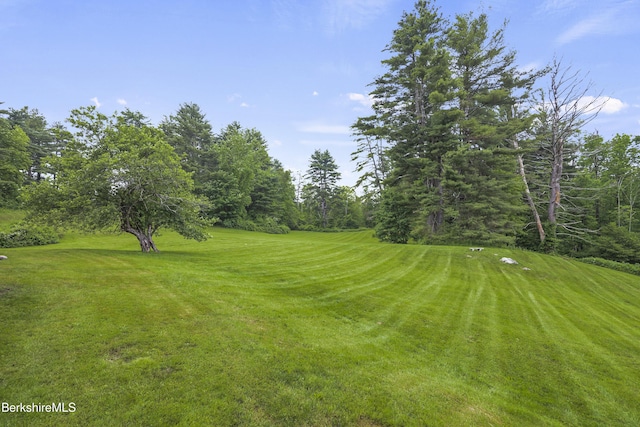 42 Seekonk Rd, Great Barrington, MA 01230 - photo 39