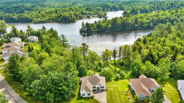 210 Pine Cone Ln, Hinsdale, MA 01235 - photo 45