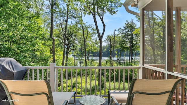 210 Pine Cone Ln, Hinsdale, MA 01235 - photo 40