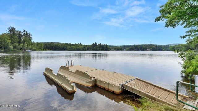 210 Pine Cone Ln, Hinsdale, MA 01235 - photo 47