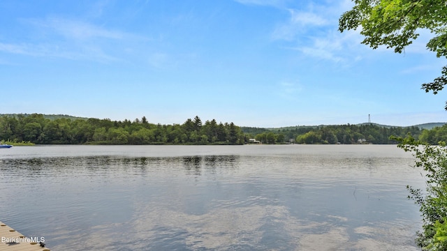 210 Pine Cone Ln, Hinsdale, MA 01235 - photo 4