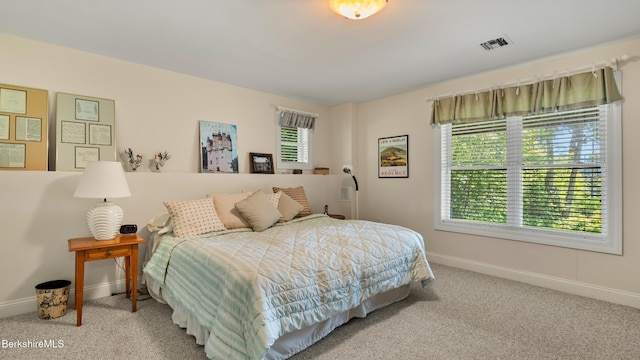 210 Pine Cone Ln, Hinsdale, MA 01235 - photo 38
