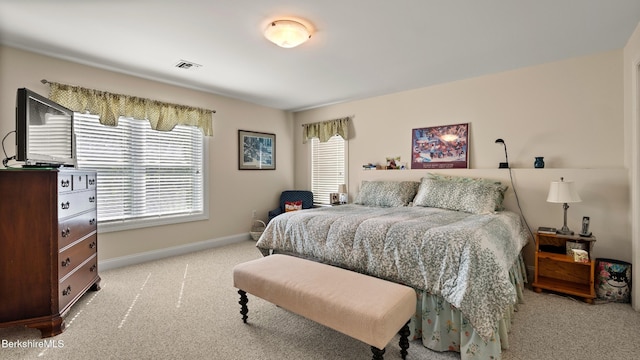 210 Pine Cone Ln, Hinsdale, MA 01235 - photo 36