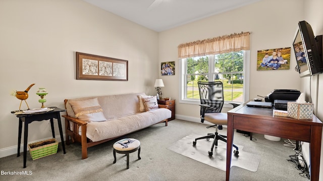 210 Pine Cone Ln, Hinsdale, MA 01235 - photo 25