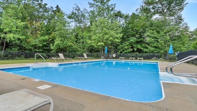 210 Pine Cone Ln, Hinsdale, MA 01235 - photo 50