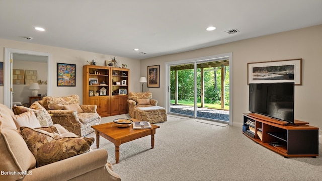210 Pine Cone Ln, Hinsdale, MA 01235 - photo 31