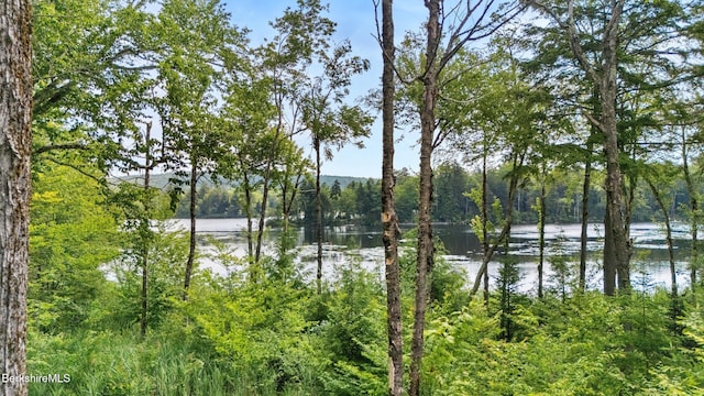 210 Pine Cone Ln, Hinsdale, MA 01235 - photo 57