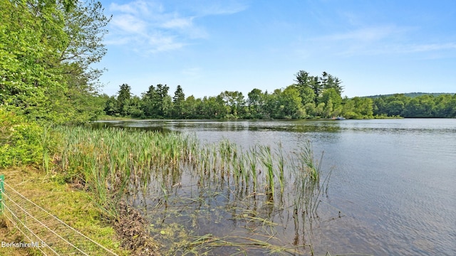 210 Pine Cone Ln, Hinsdale, MA 01235 - photo 48