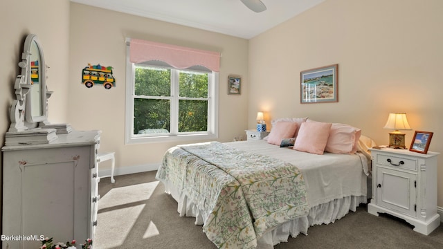 210 Pine Cone Ln, Hinsdale, MA 01235 - photo 24