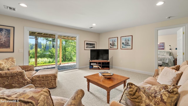 210 Pine Cone Ln, Hinsdale, MA 01235 - photo 32