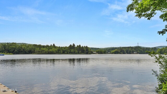 210 Pine Cone Ln, Hinsdale, MA 01235 - photo 44