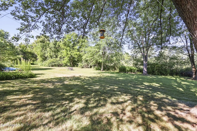 131 Luce Rd, Williamstown, MA 01267 - photo 31