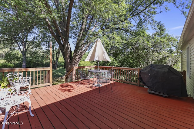 131 Luce Rd, Williamstown, MA 01267 - photo 21