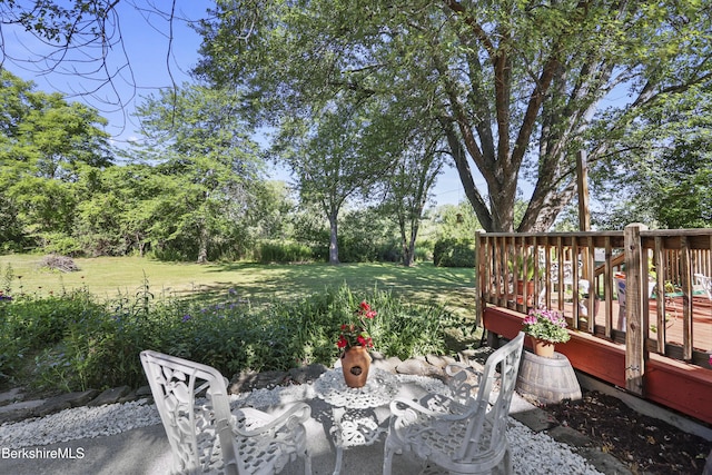 131 Luce Rd, Williamstown, MA 01267 - photo 30