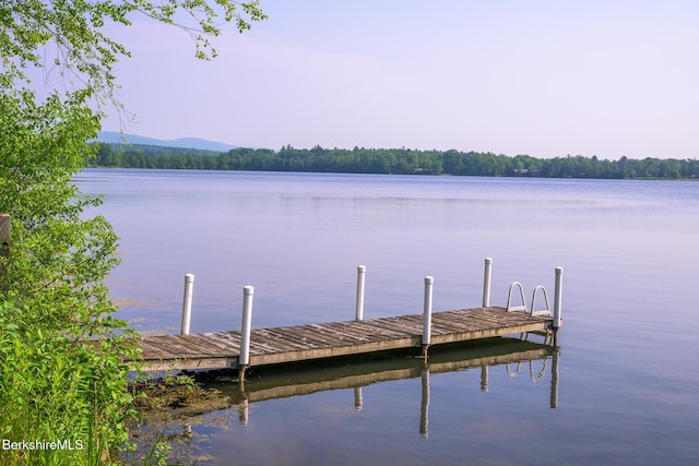144 Shore Rd, Richmond, MA 01254 - dock area with a water view