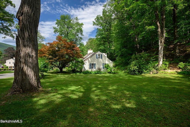 160 Marion Ave, North Adams, MA 01247 - view of grassy yard