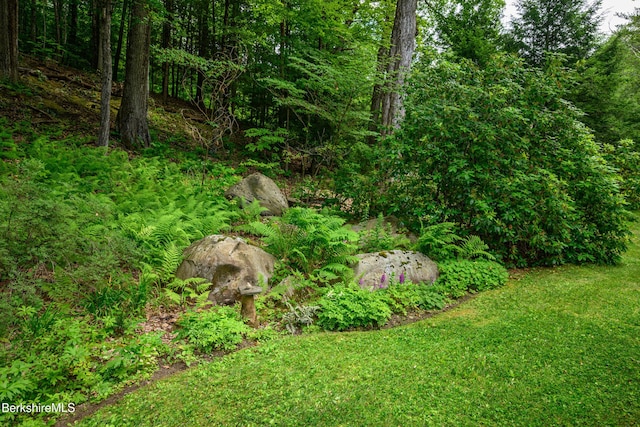 160 Marion Ave, North Adams, MA 01247 - view of grassy yard