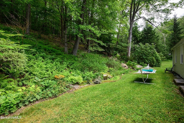 160 Marion Ave, North Adams, MA 01247 - view of grassy yard