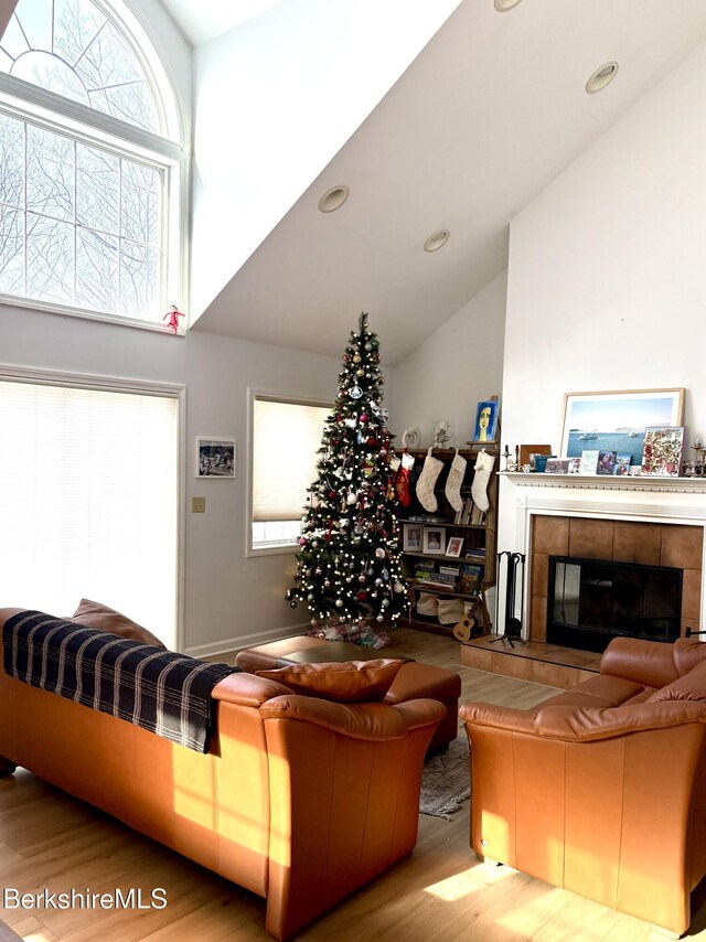 living room with light hardwood / wood-style floors, a fireplace, and vaulted ceiling