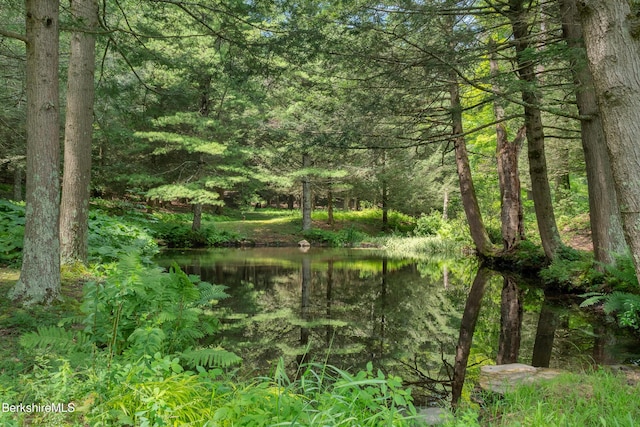 293 E Rd, Alford, MA 01266 - photo 15