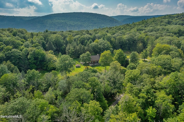 293 E Rd, Alford, MA 01266 - photo 45