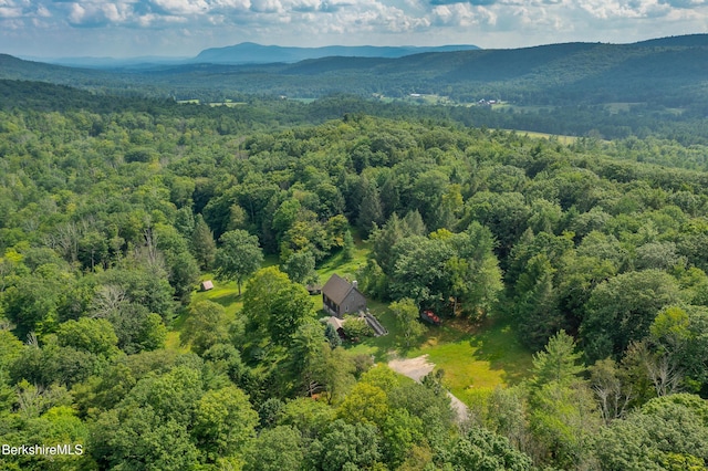 293 E Rd, Alford, MA 01266 - photo 46