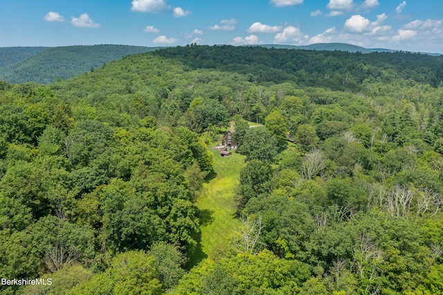 293 E Rd, Alford, MA 01266 - photo 44
