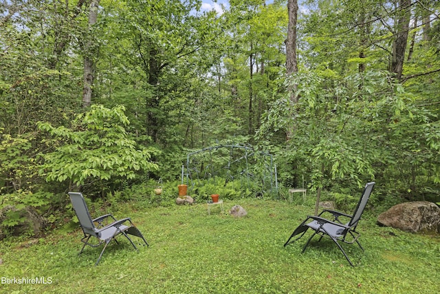 169 Jacobs Hollow Rd, Becket, MA 01223 - view of grassy yard
