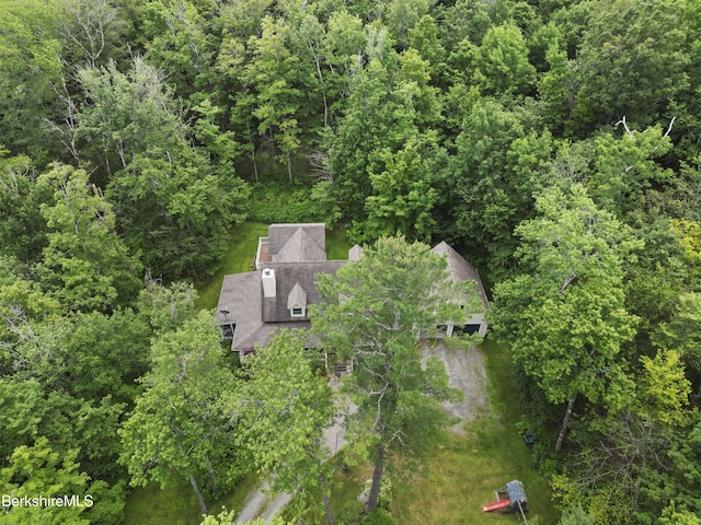 169 Jacobs Hollow Rd, Becket, MA 01223 - view of subject property with a forest