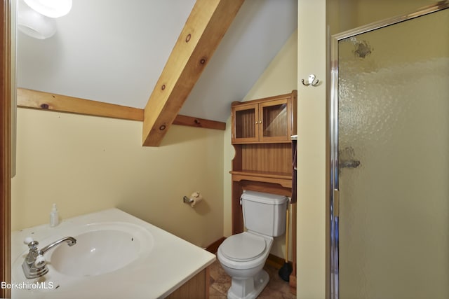 169 Jacobs Hollow Rd, Becket, MA 01223 - bathroom with a shower stall, vanity, and vaulted ceiling