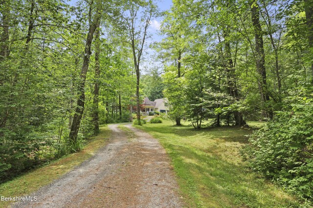 169 Jacobs Hollow Rd, Becket, MA 01223 - view of dirt / gravel driveway with a wooded view