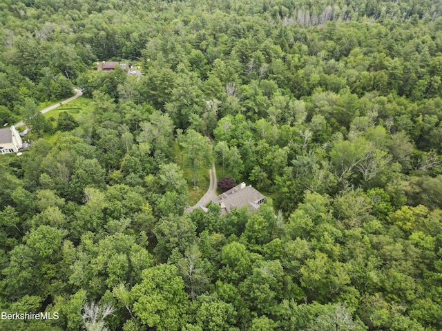 169 Jacobs Hollow Rd, Becket, MA 01223 - aerial overview of property's location featuring a forest