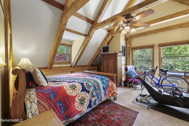 169 Jacobs Hollow Rd, Becket, MA 01223 - bedroom with carpet flooring