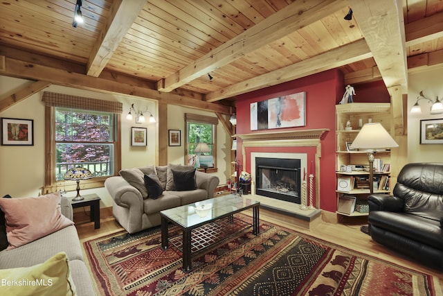 169 Jacobs Hollow Rd, Becket, MA 01223 - living area featuring wood finished floors, a wood ceiling with exposed beams, rail lighting, and a fireplace with raised hearth