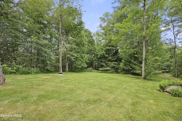 169 Jacobs Hollow Rd, Becket, MA 01223 - view of grassy yard featuring a forest view