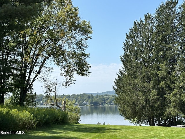 property view of water with a view of trees