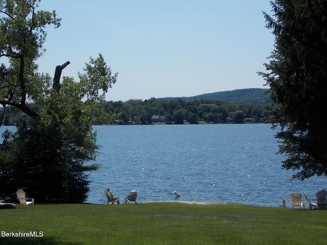 1136 Barker Rd Unit 65, Pittsfield, MA 01201 - water view