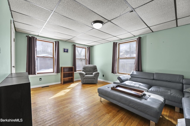 living area with visible vents, a drop ceiling, light wood-style flooring, and baseboards