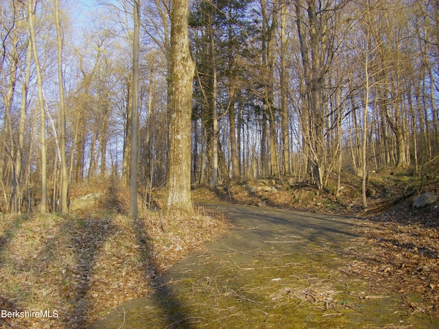 0 Notch Rd, North Adams, MA 01247