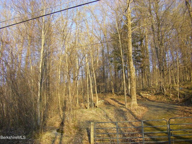 0 Notch Rd, North Adams, MA 01247