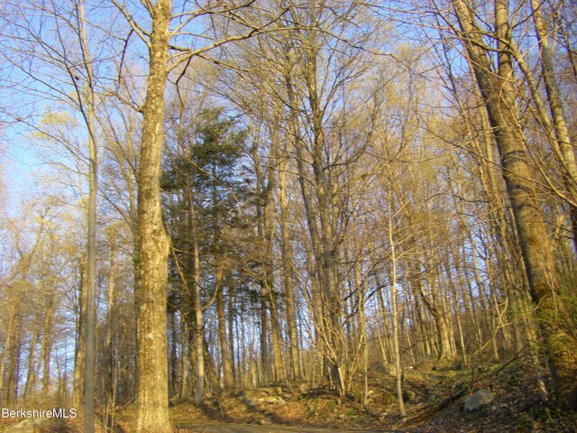 0 Notch Rd, North Adams, MA 01247