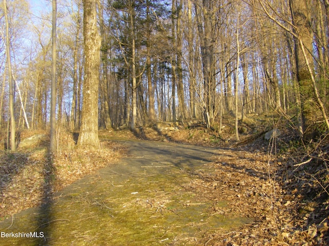 0 Notch Rd, North Adams, MA 01247