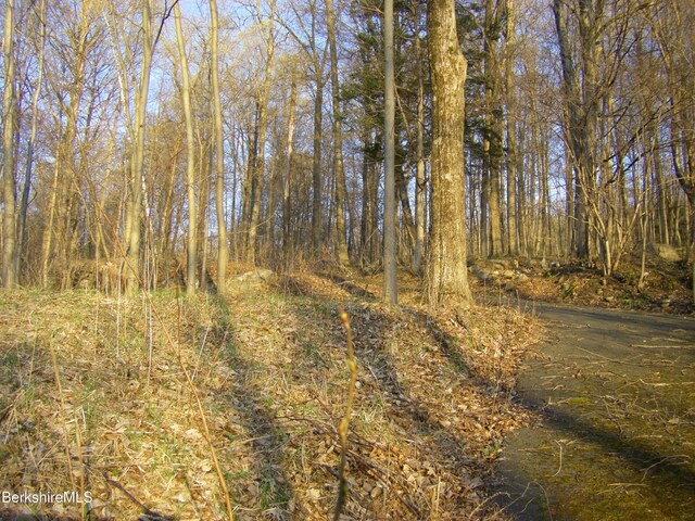 0 Notch Rd, North Adams, MA 01247