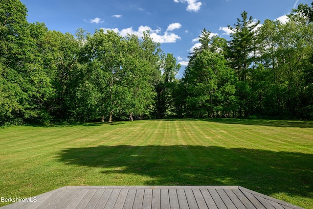 92 Hancock Rd, Williamstown, MA 01267 - view of grassy yard