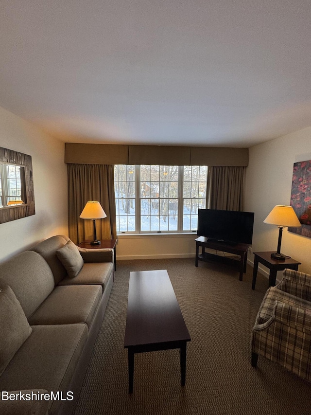 living room with a wealth of natural light and carpet floors