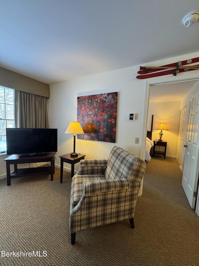 living room featuring carpet flooring