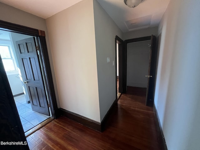 hall featuring dark hardwood / wood-style floors