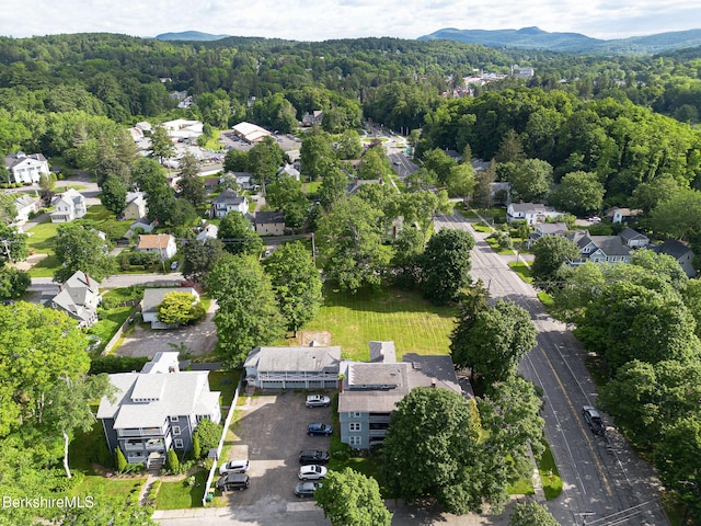 6-10 Manville St, Great Barrington, MA 01230 - aerial overview of property's location with nearby suburban area